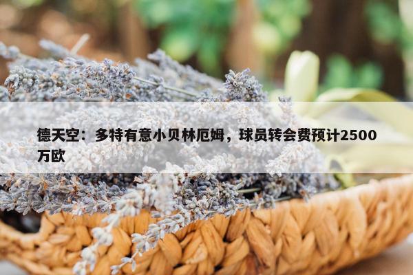 德天空：多特有意小贝林厄姆，球员转会费预计2500万欧