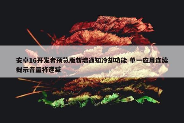 安卓16开发者预览版新增通知冷却功能 单一应用连续提示音量将递减