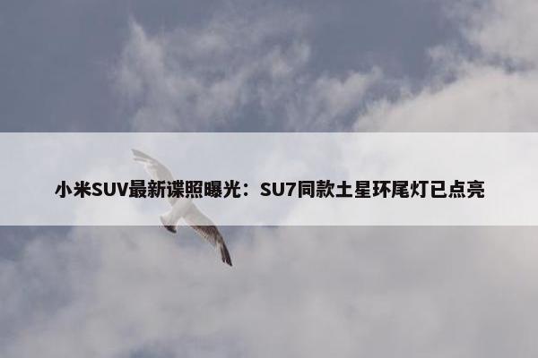 小米SUV最新谍照曝光：SU7同款土星环尾灯已点亮