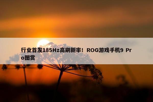 行业首发185Hz高刷新率！ROG游戏手机9 Pro图赏