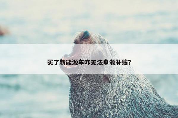 买了新能源车咋无法申领补贴？