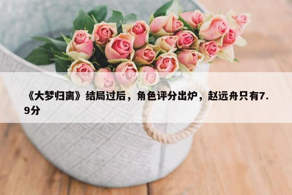 《大梦归离》结局过后，角色评分出炉，赵远舟只有7.9分