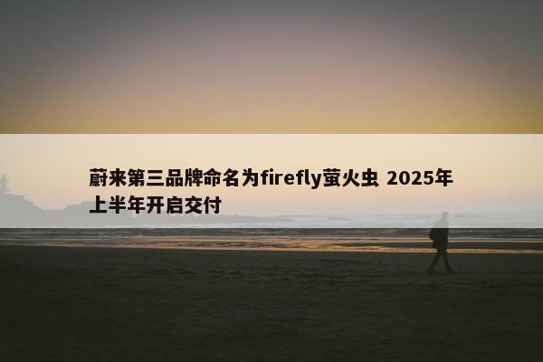 蔚来第三品牌命名为firefly萤火虫 2025年上半年开启交付