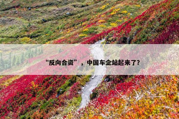 “反向合资”，中国车企站起来了？