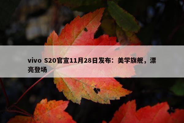 vivo S20官宣11月28日发布：美学旗舰，漂亮登场