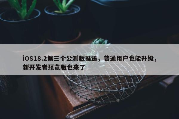 iOS18.2第三个公测版推送，普通用户也能升级，新开发者预览版也来了