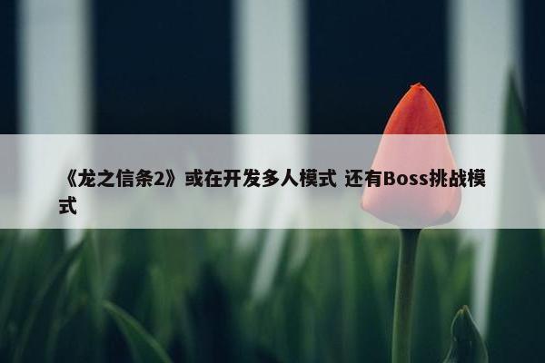 《龙之信条2》或在开发多人模式 还有Boss挑战模式