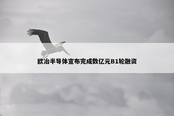 欧冶半导体宣布完成数亿元B1轮融资