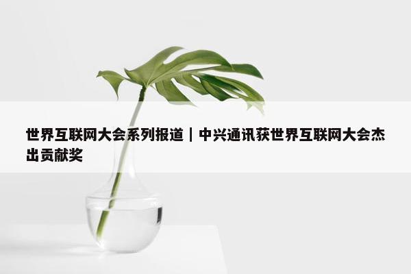 世界互联网大会系列报道｜中兴通讯获世界互联网大会杰出贡献奖