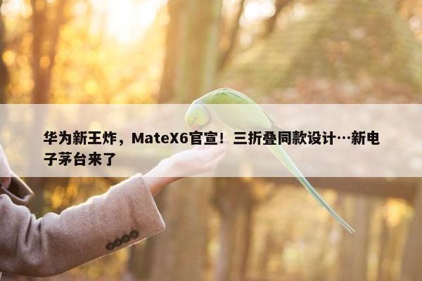 华为新王炸，MateX6官宣！三折叠同款设计…新电子茅台来了