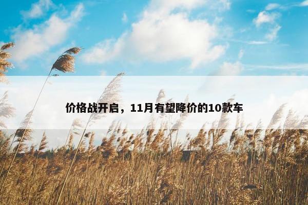 价格战开启，11月有望降价的10款车