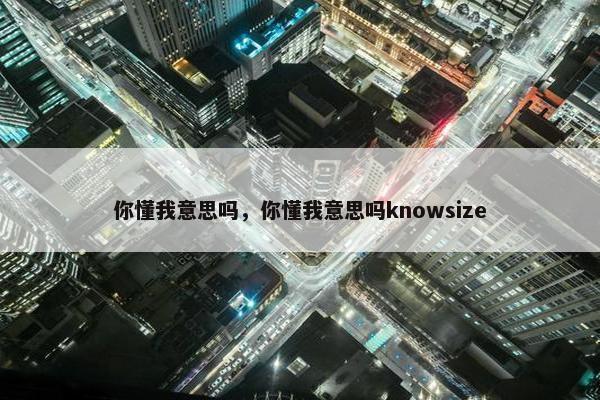 你懂我意思吗，你懂我意思吗knowsize