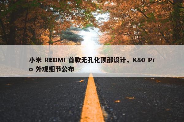 小米 REDMI 首款无孔化顶部设计，K80 Pro 外观细节公布