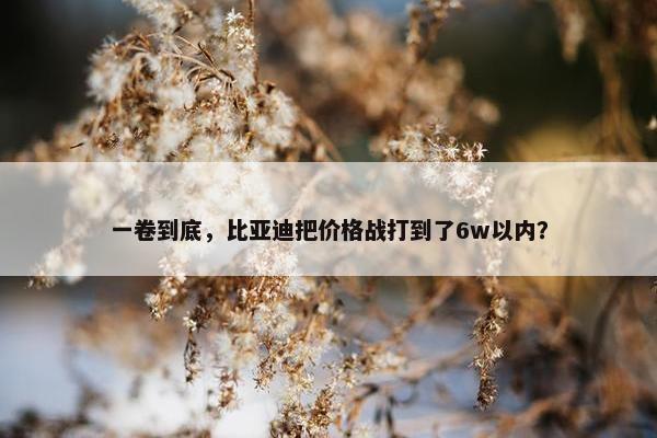 一卷到底，比亚迪把价格战打到了6w以内？