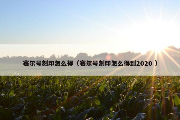 赛尔号刻印怎么得（赛尔号刻印怎么得到2020 ）