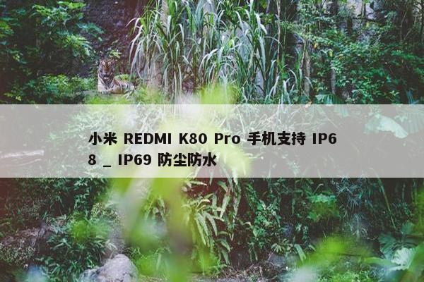 小米 REDMI K80 Pro 手机支持 IP68 _ IP69 防尘防水