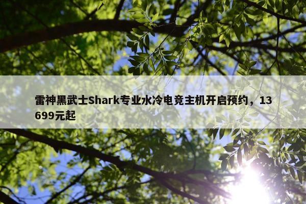 雷神黑武士Shark专业水冷电竞主机开启预约，13699元起