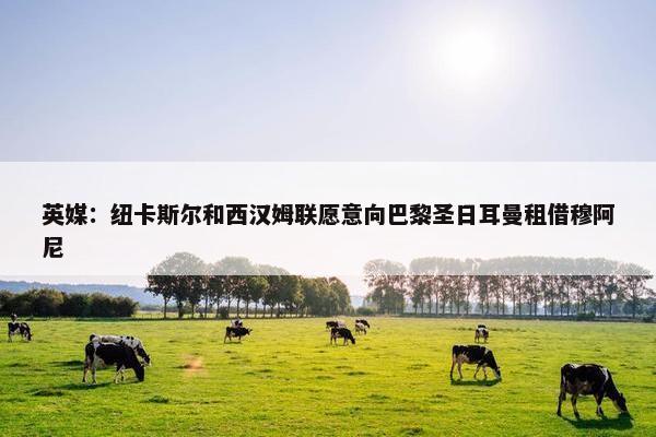 英媒：纽卡斯尔和西汉姆联愿意向巴黎圣日耳曼租借穆阿尼