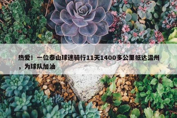 热爱！一位泰山球迷骑行11天1400多公里抵达温州，为球队加油