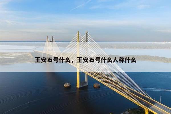 王安石号什么，王安石号什么人称什么