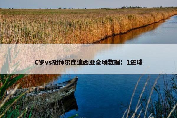 C罗vs胡拜尔库迪西亚全场数据：1进球