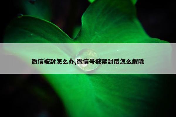 微信被封怎么办,微信号被禁封后怎么解除