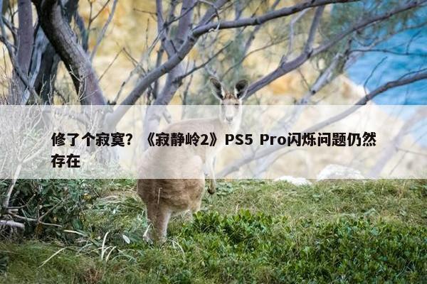 修了个寂寞？《寂静岭2》PS5 Pro闪烁问题仍然存在