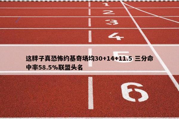 这胖子真恐怖约基奇场均30+14+11.5 三分命中率58.5%联盟头名