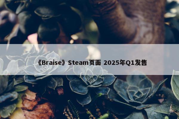 《Braise》Steam页面 2025年Q1发售