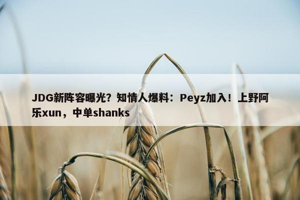 JDG新阵容曝光？知情人爆料：Peyz加入！上野阿乐xun，中单shanks