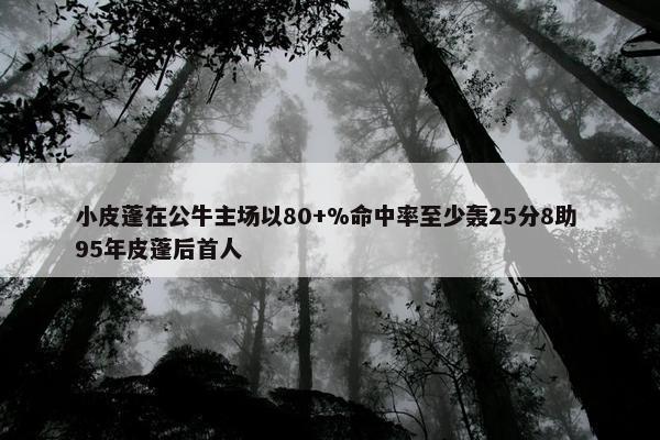 小皮蓬在公牛主场以80+%命中率至少轰25分8助 95年皮蓬后首人